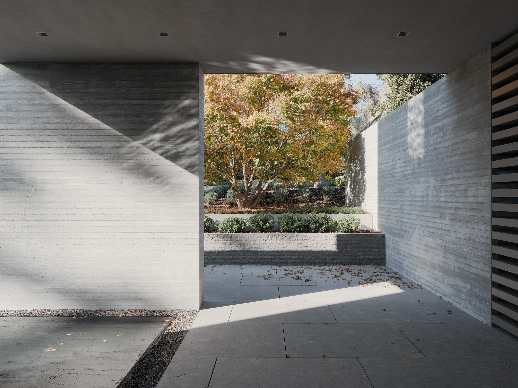Outdoor area with concrete flooring and trees