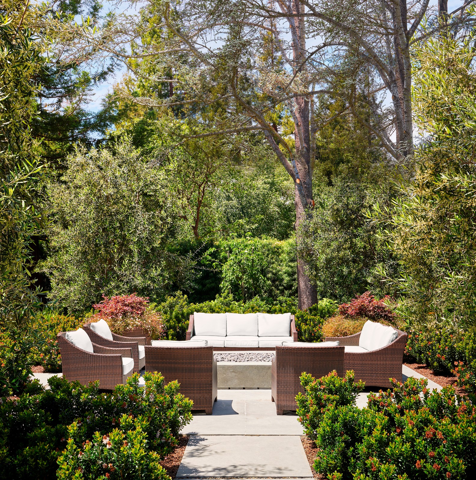 Outdoor area with lots of chairs and a firepit in the center. This outdoor space is surrounded by very large trees.